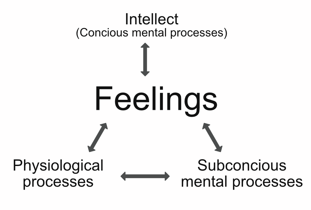 Emotions as an interface