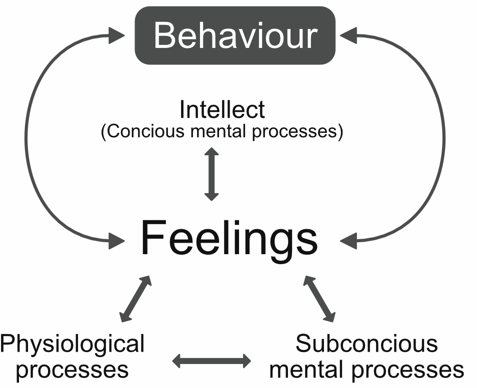 Emotions drives behaviour